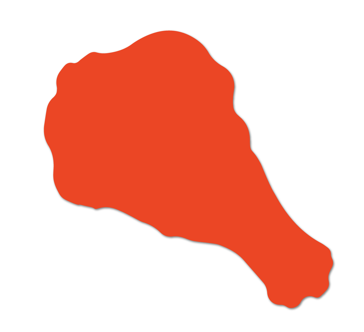 BuffWing-1 Orange buffalo wing graphic