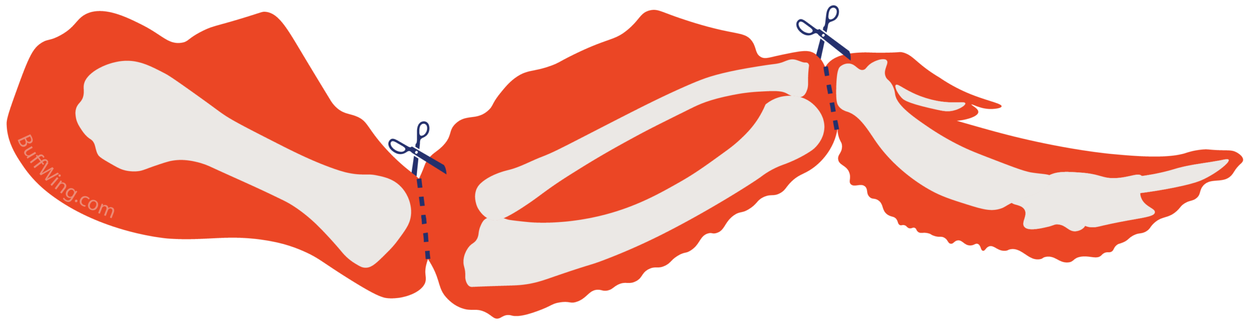 AnatomyCutWatermark