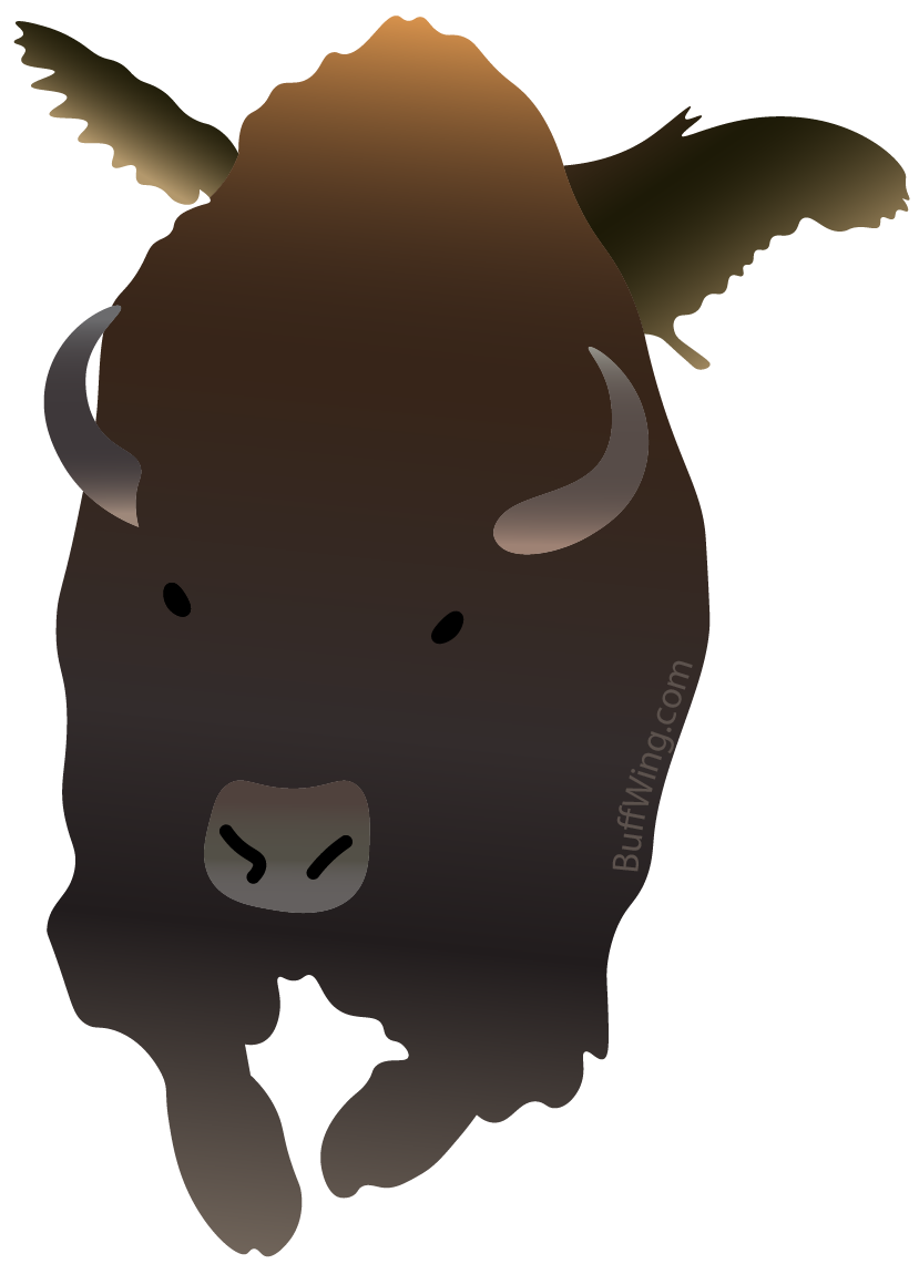 BisonWings_Watermark